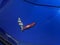 2017 Chevrolet Corvette Stingray Stingray Z51
