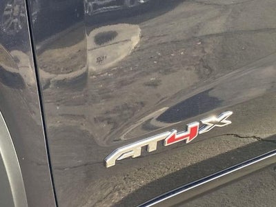 2025 GMC Sierra 1500 AT4X