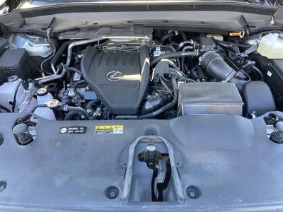 2025 Lexus TX 500h F SPORT Premium