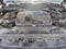 2021 Land Rover Range Rover Westminster